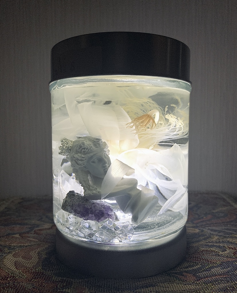 No.8:月下美人標本