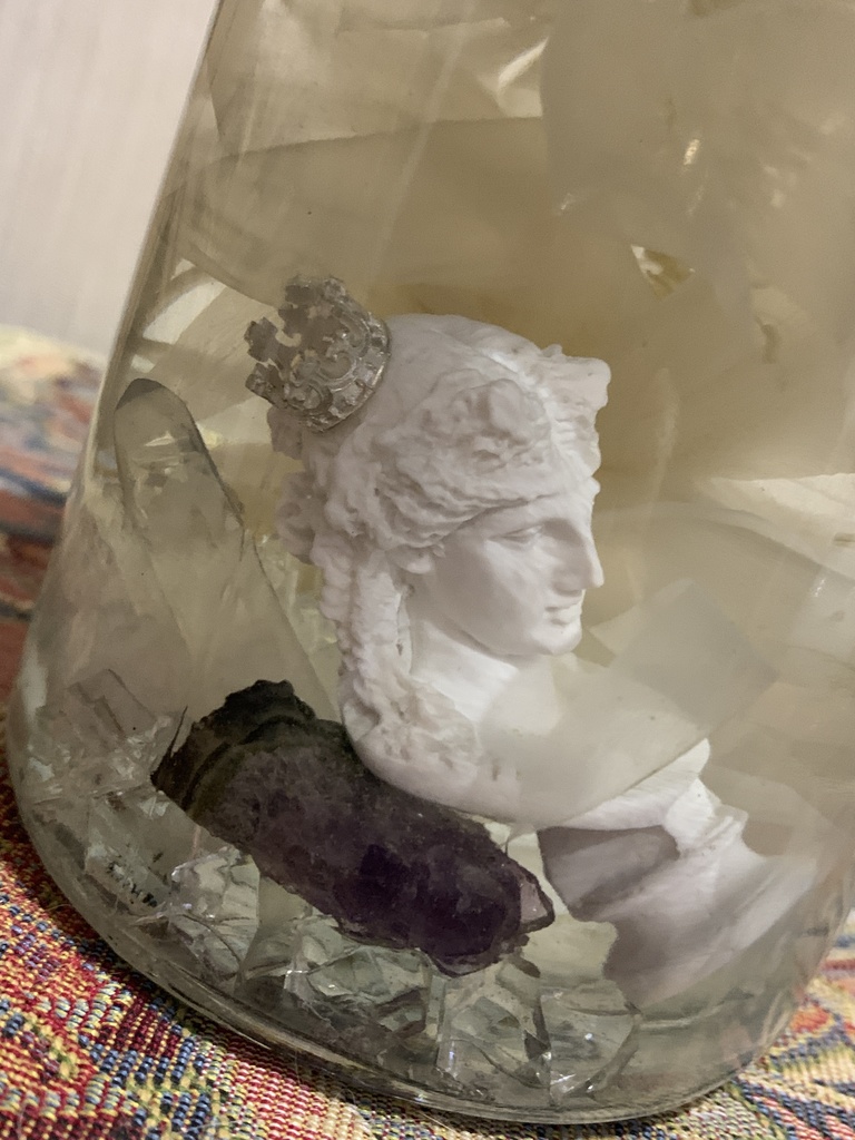 No.8:月下美人標本