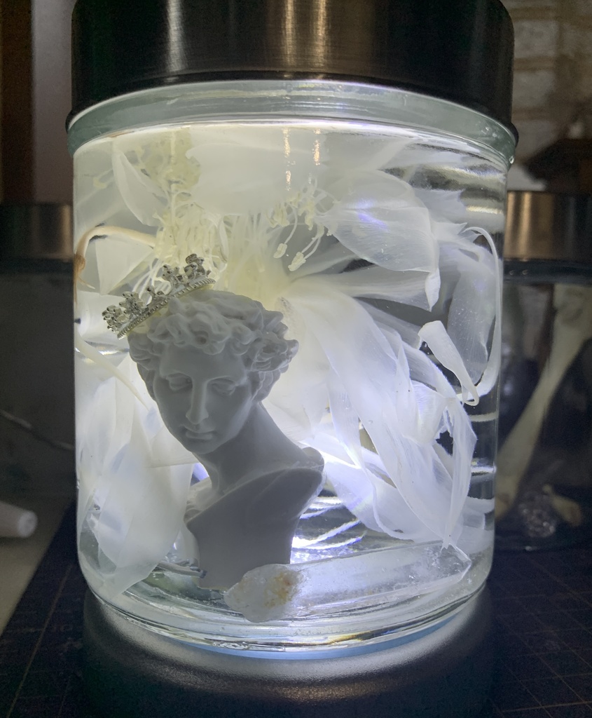 No.1:月下美人標本