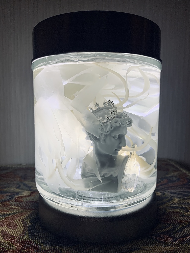 No.1:月下美人標本