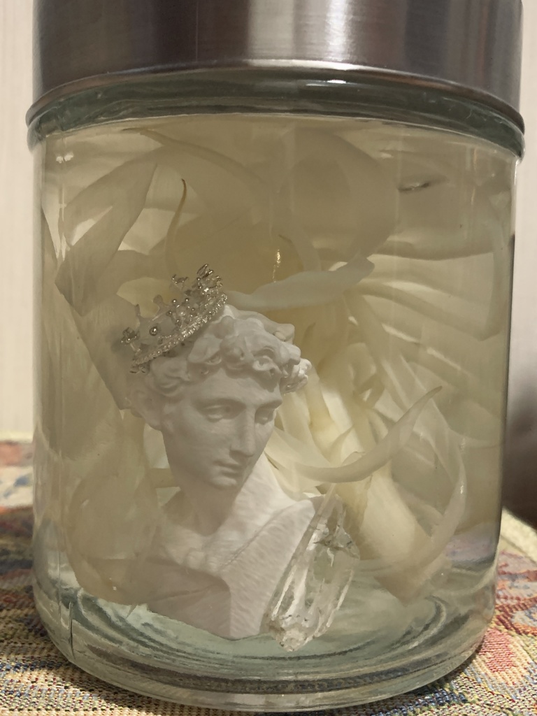 No.1:月下美人標本