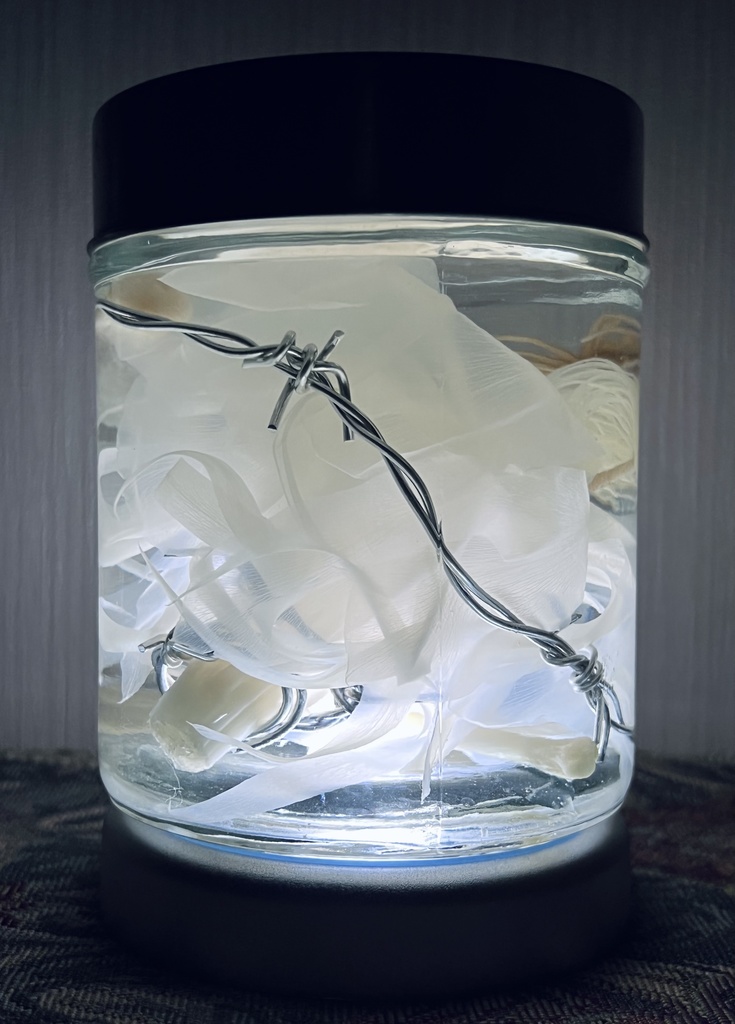 No.4:月下美人標本