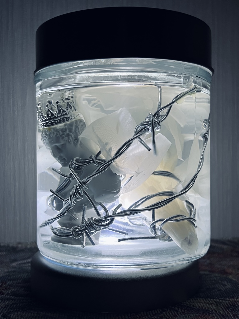 No.5:月下美人標本