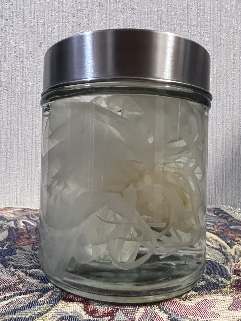 No.9:月下美人標本