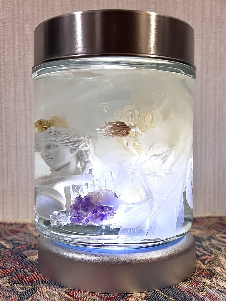 No.9:月下美人標本