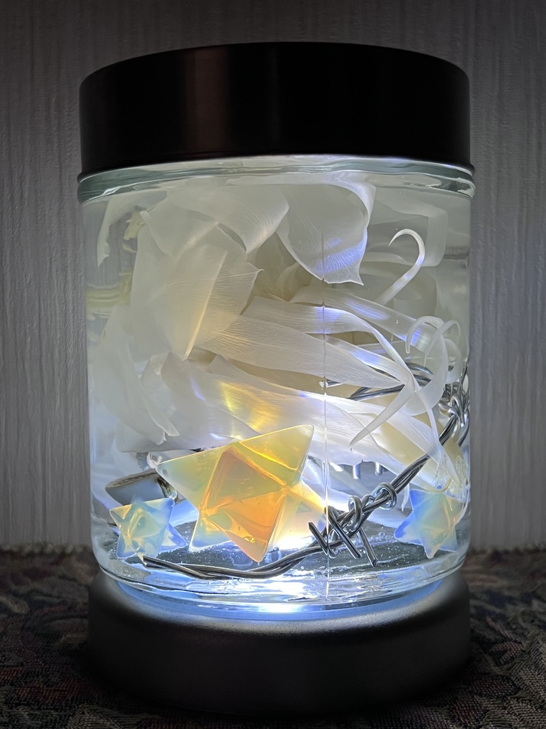 No.6:月下美人標本