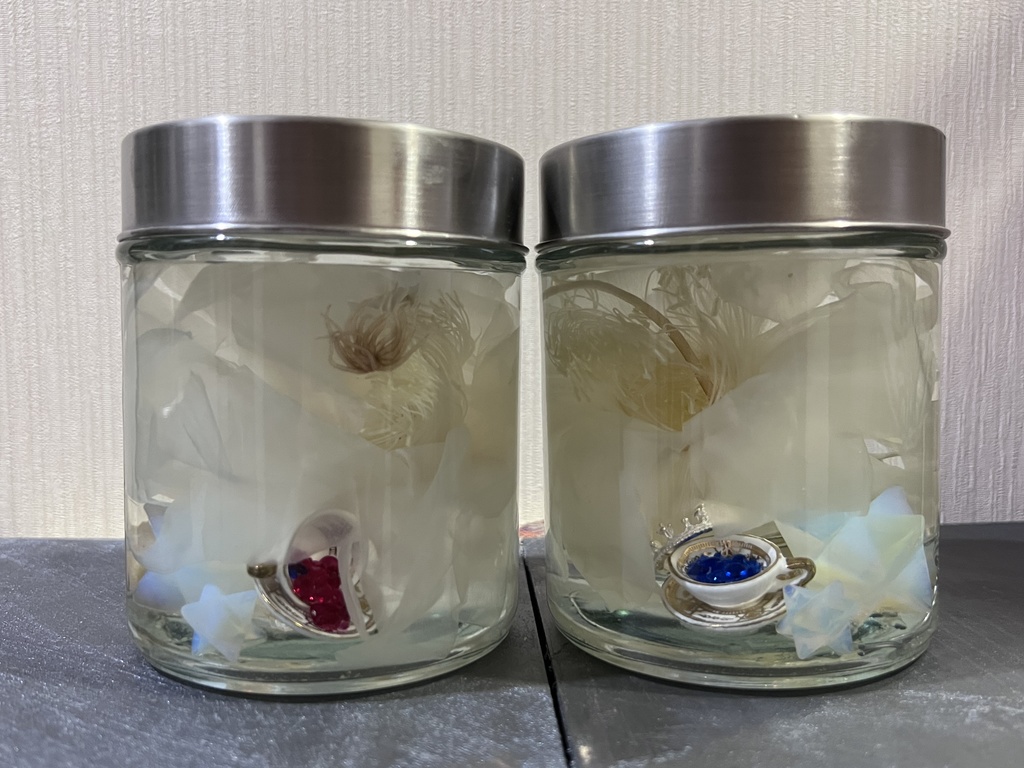 No.6:月下美人標本