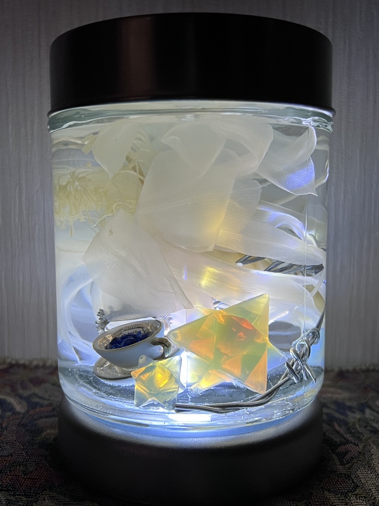 No.6:月下美人標本