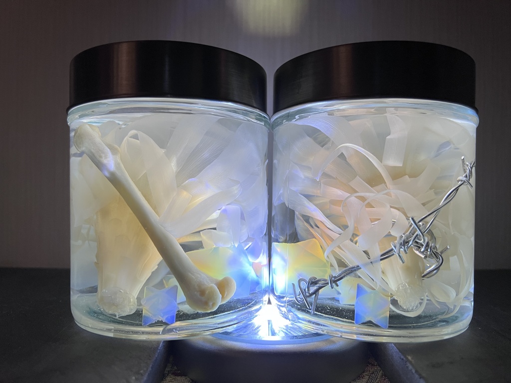 No.6:月下美人標本