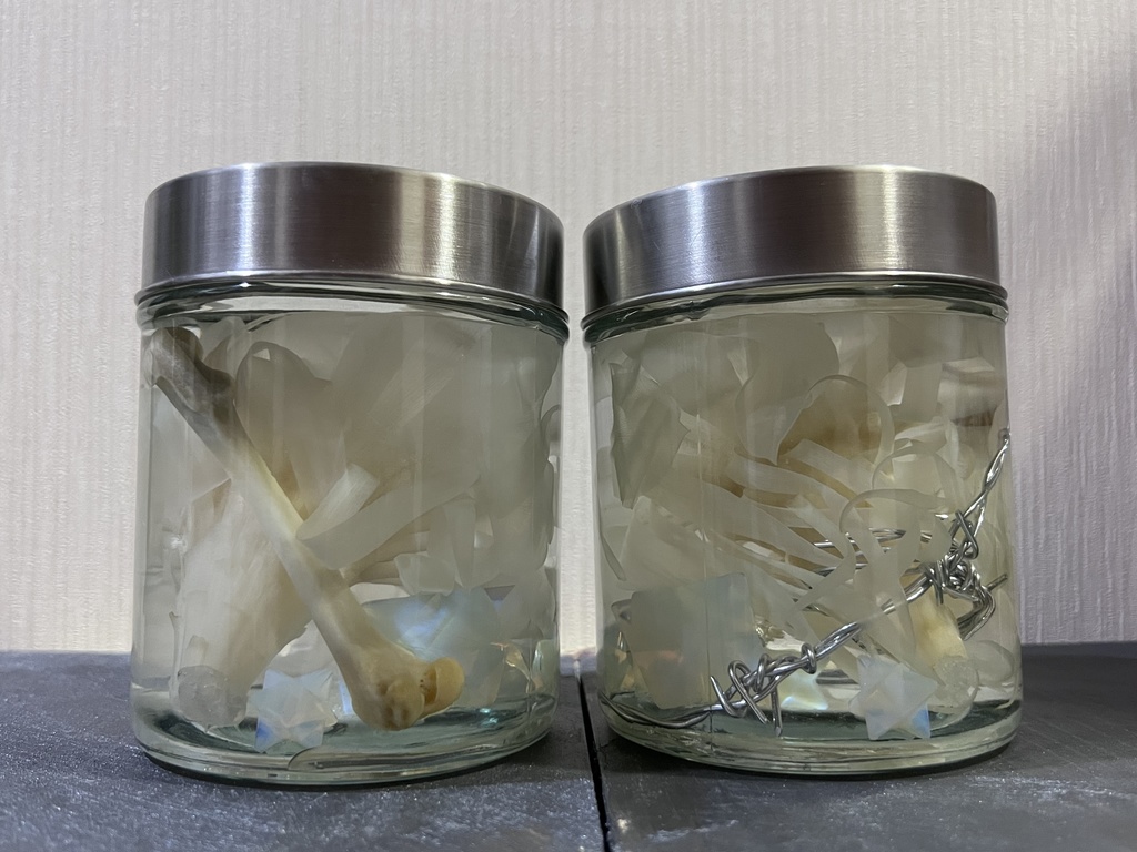 No.6:月下美人標本