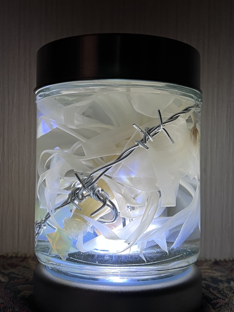 No.6:月下美人標本