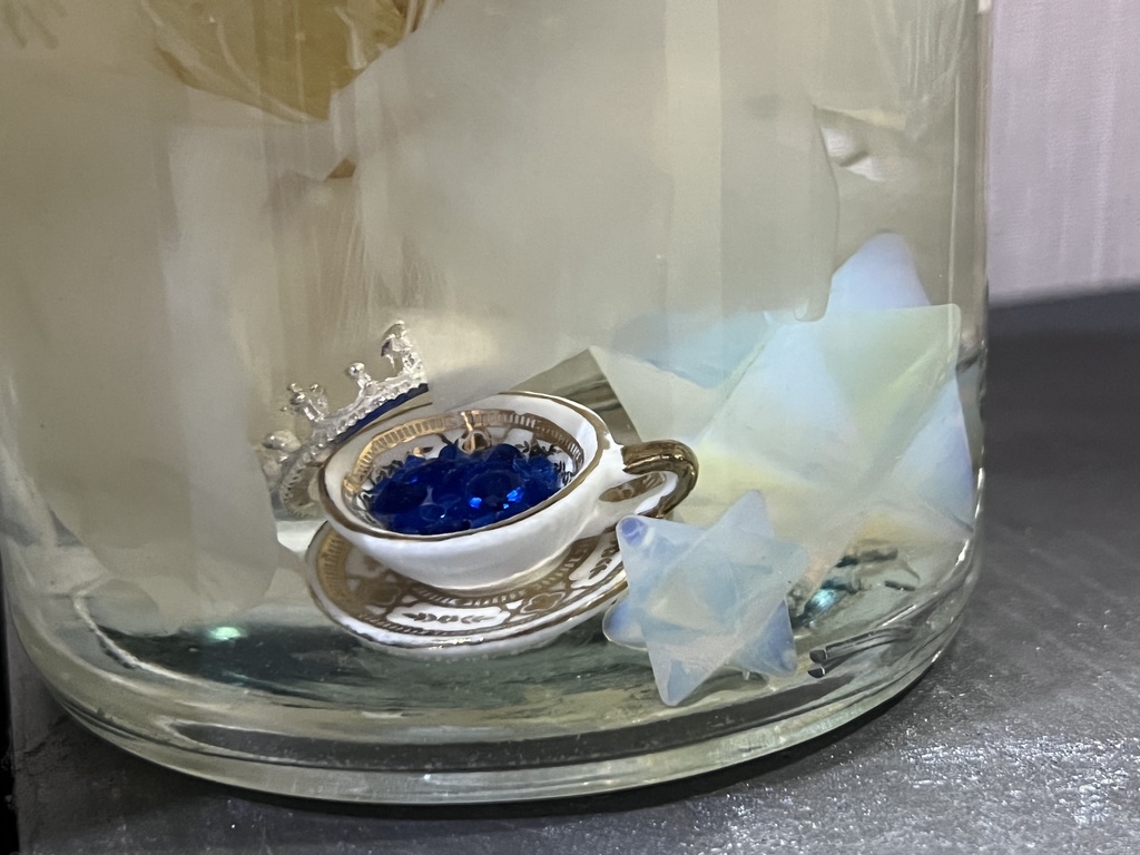 No.6:月下美人標本