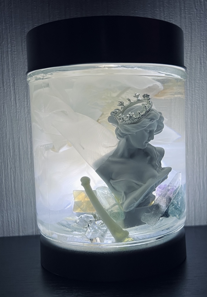 No.10:月下美人標本