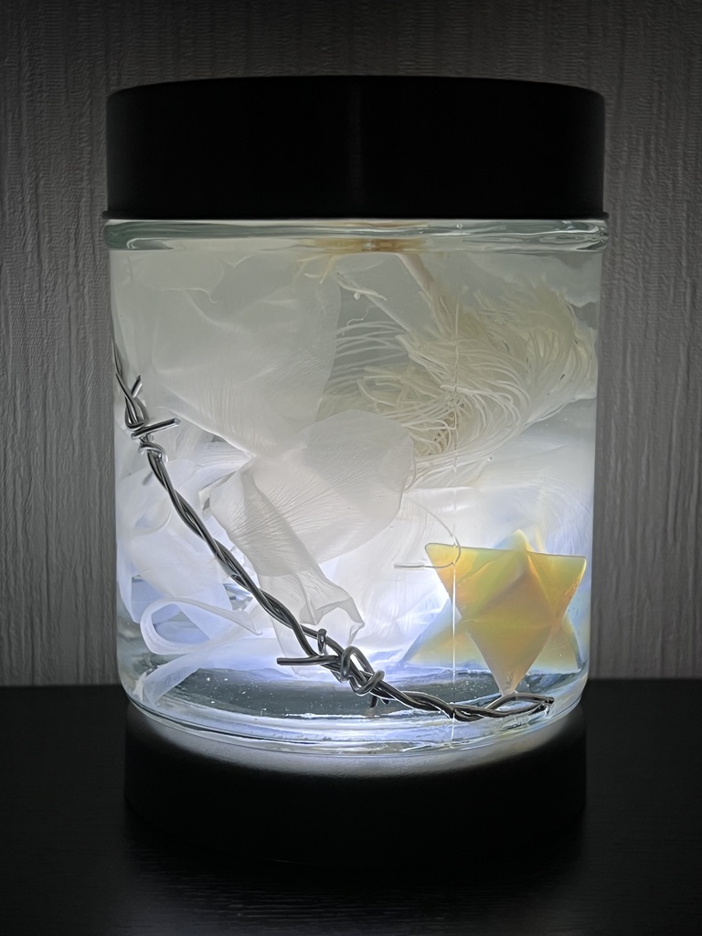 No.7:星屑の月下美人標本