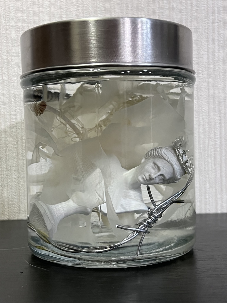 No.12:月下美人標本