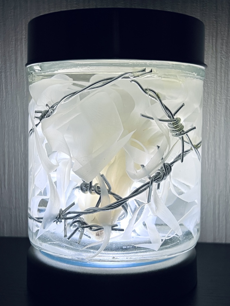 No.14:月下美人標本