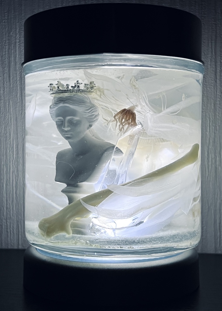 No.15:月下美人標本