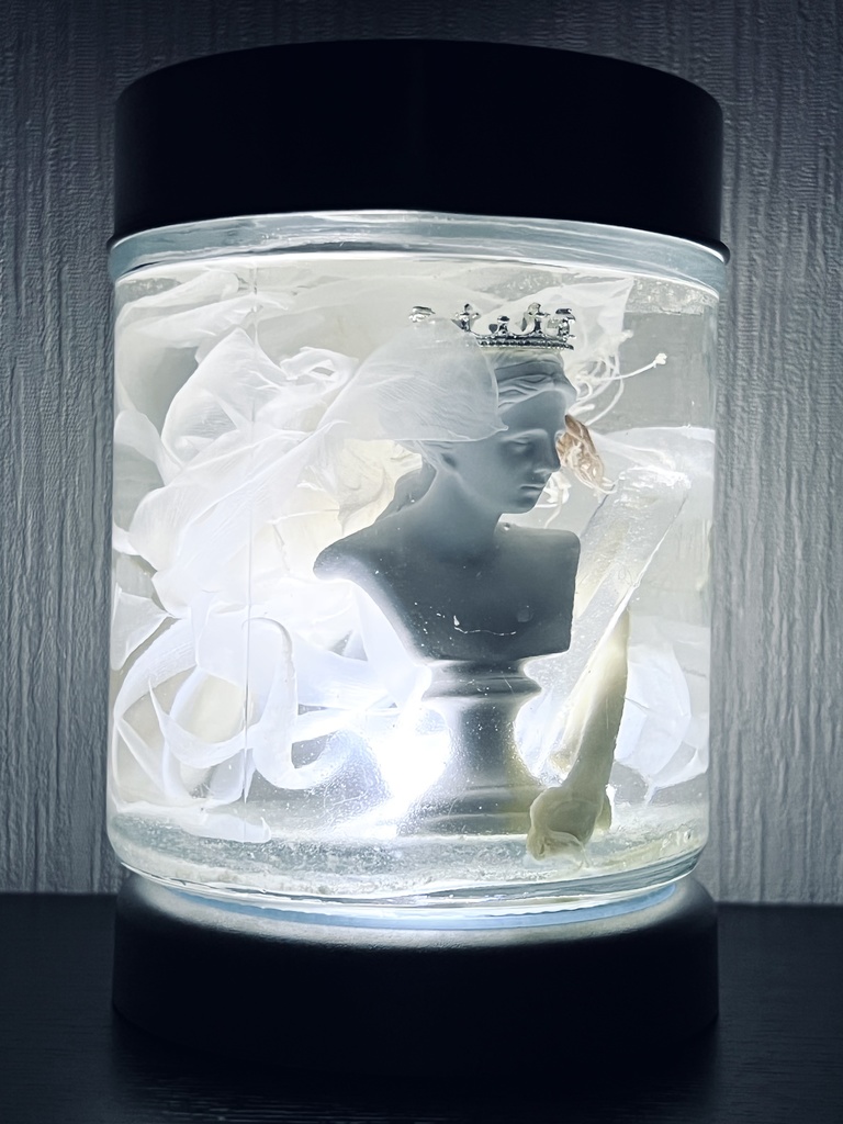 No.15:月下美人標本