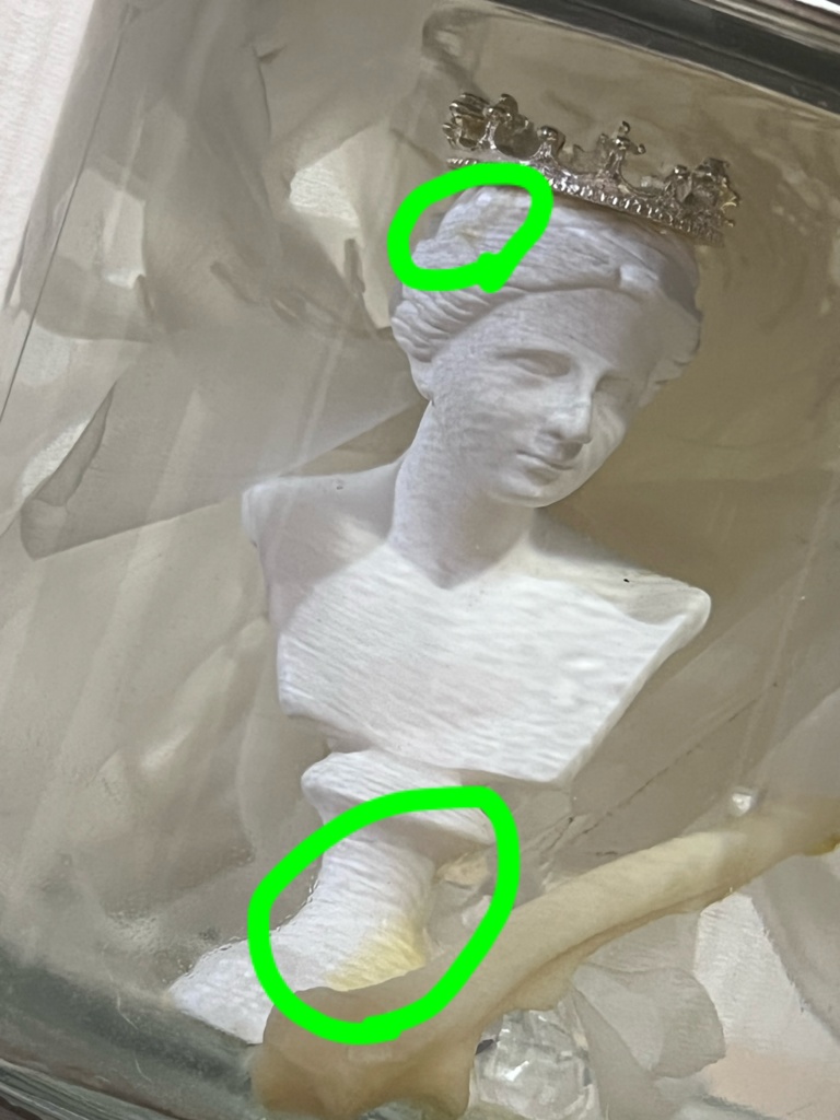 No.15:月下美人標本