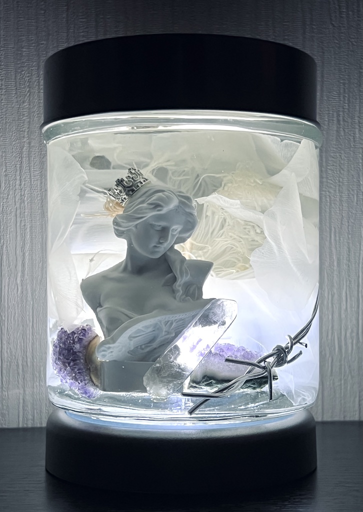 No.16:月下美人標本