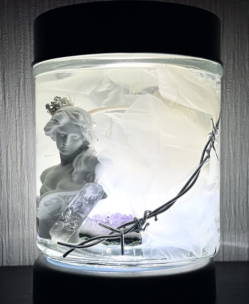 No.16:月下美人標本