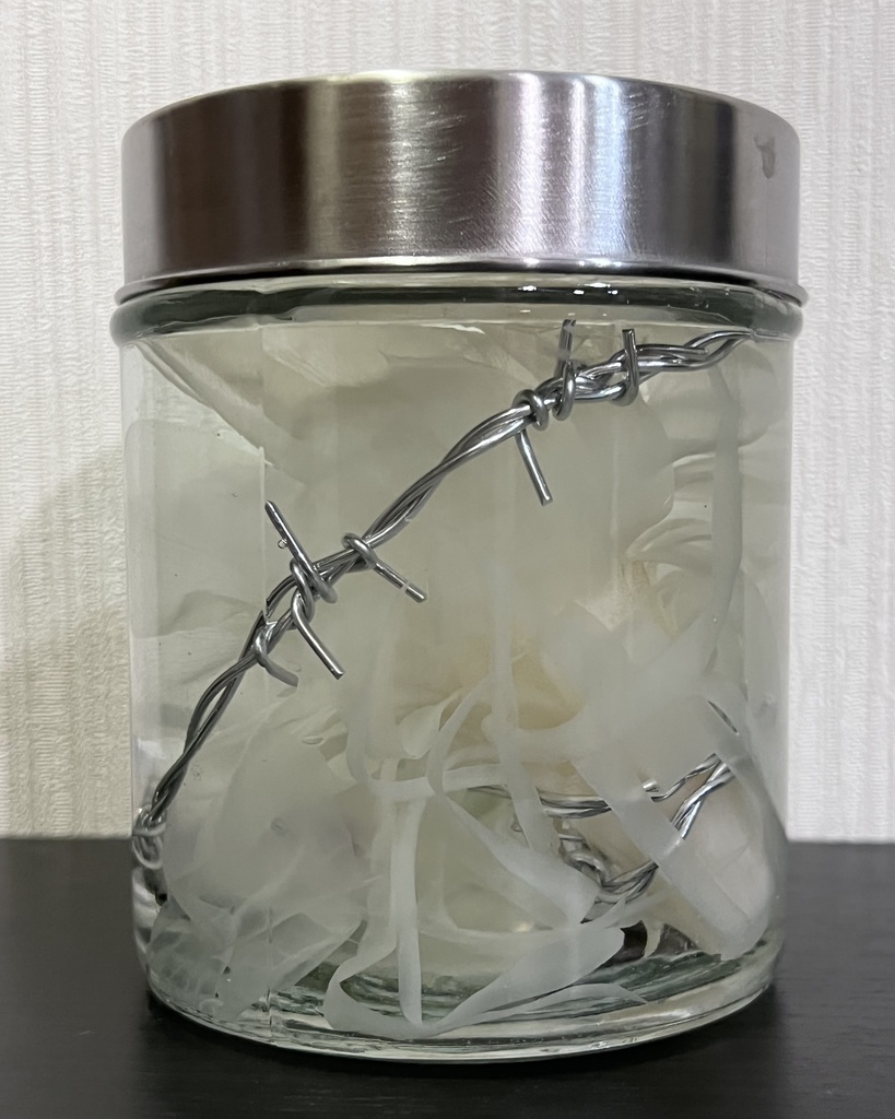 No.16:月下美人標本