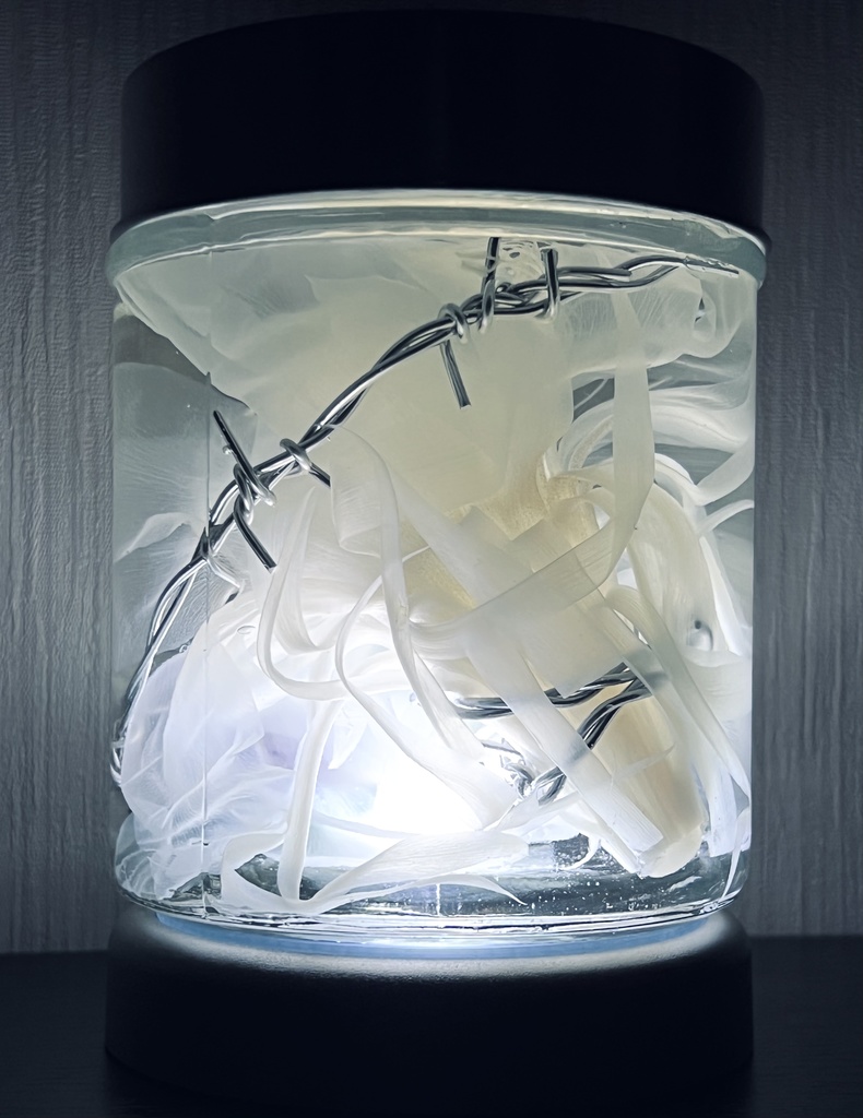 No.16:月下美人標本