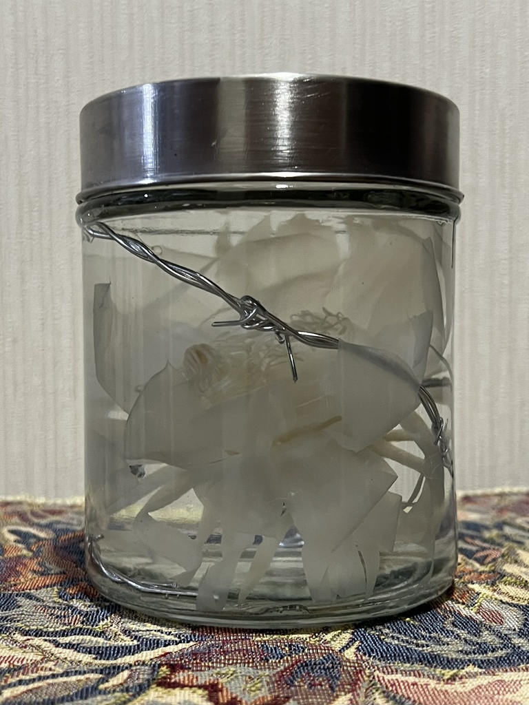 No.18:月下美人標本