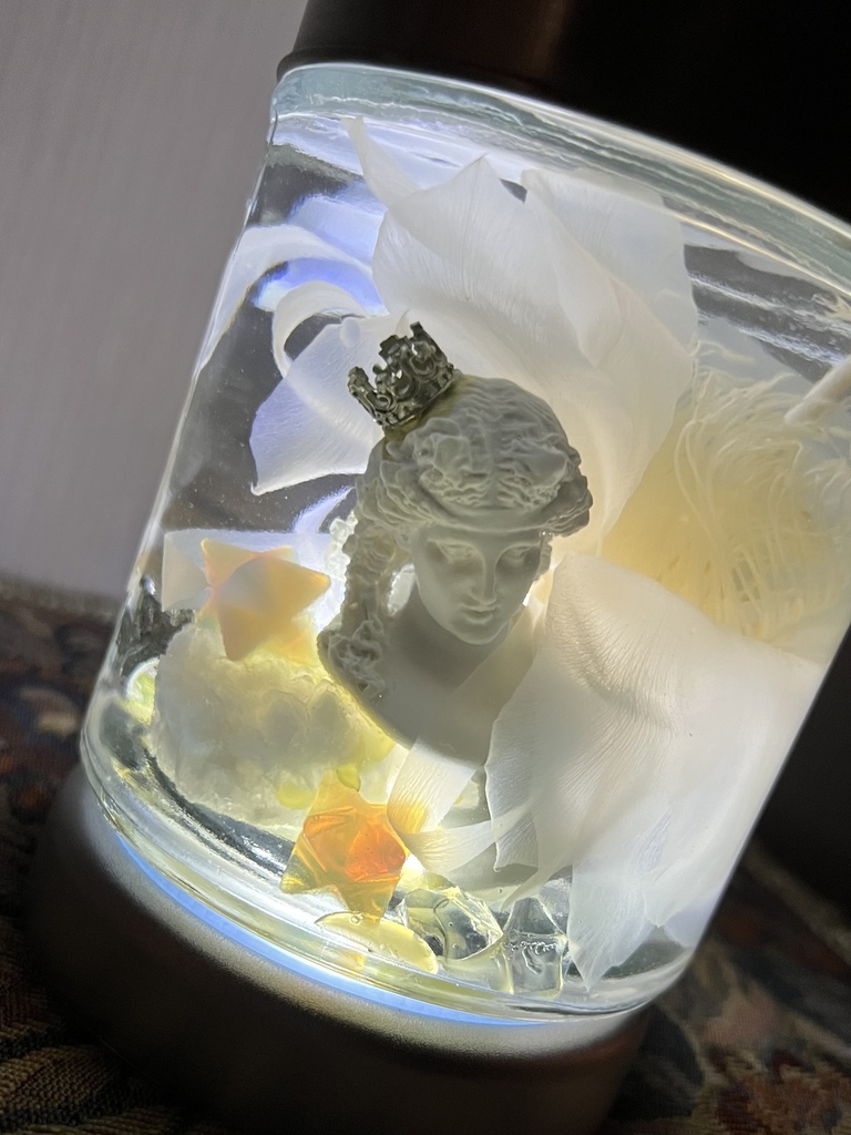 No.17:月下美人標本