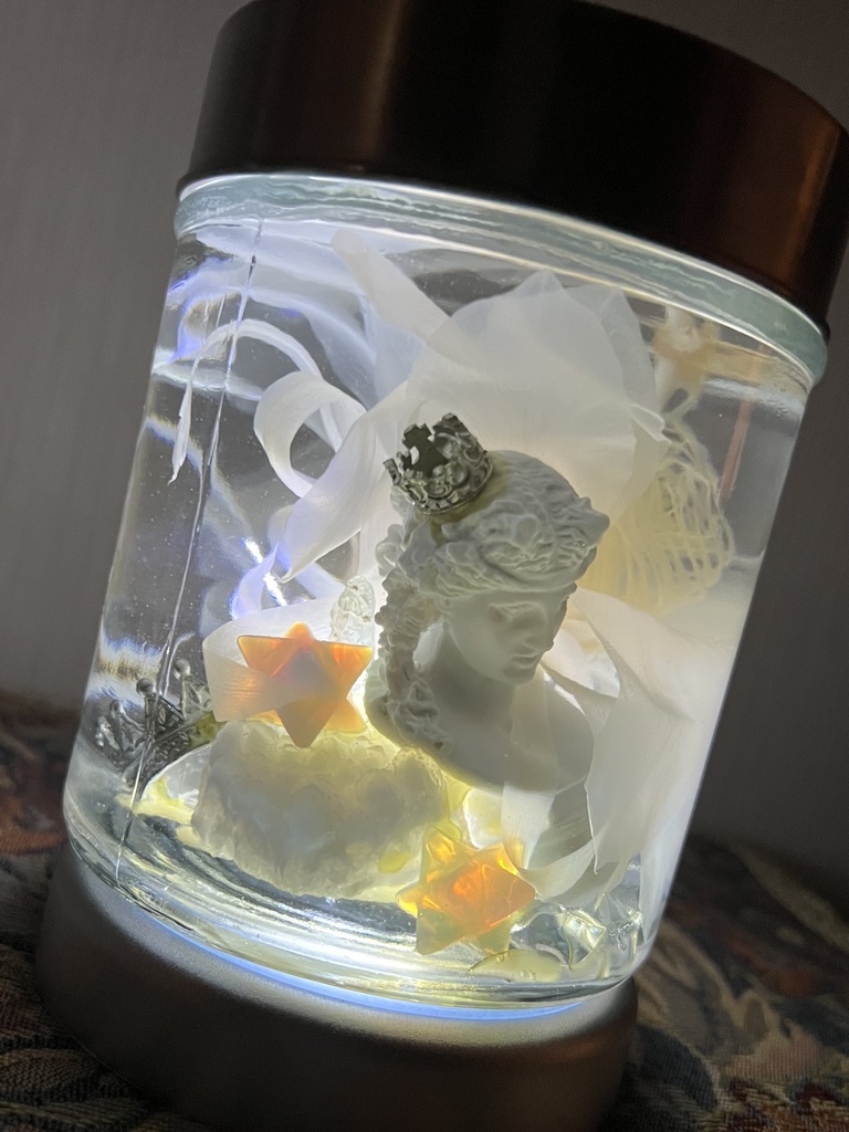 No.17:月下美人標本