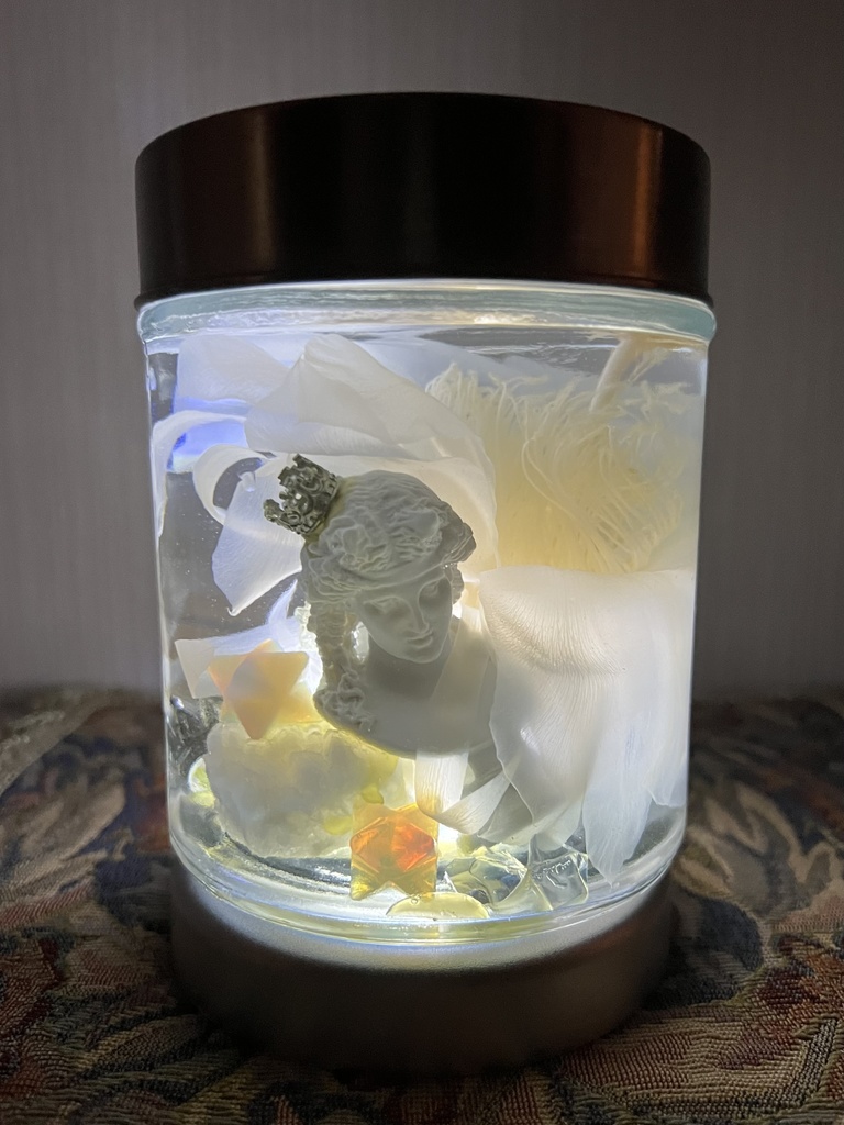 No.17:月下美人標本