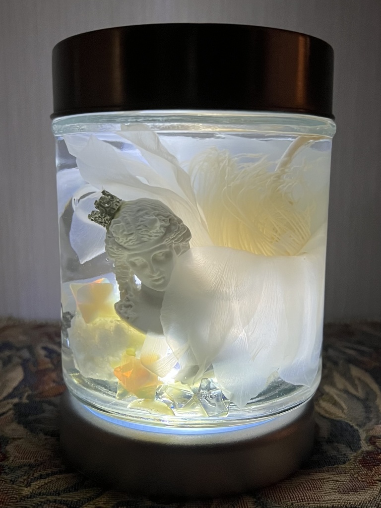 No.17:月下美人標本