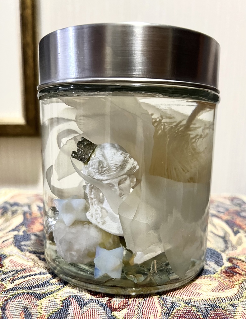 No.17:月下美人標本