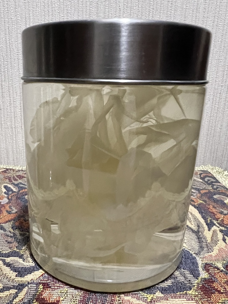 No.27:月下美人標本