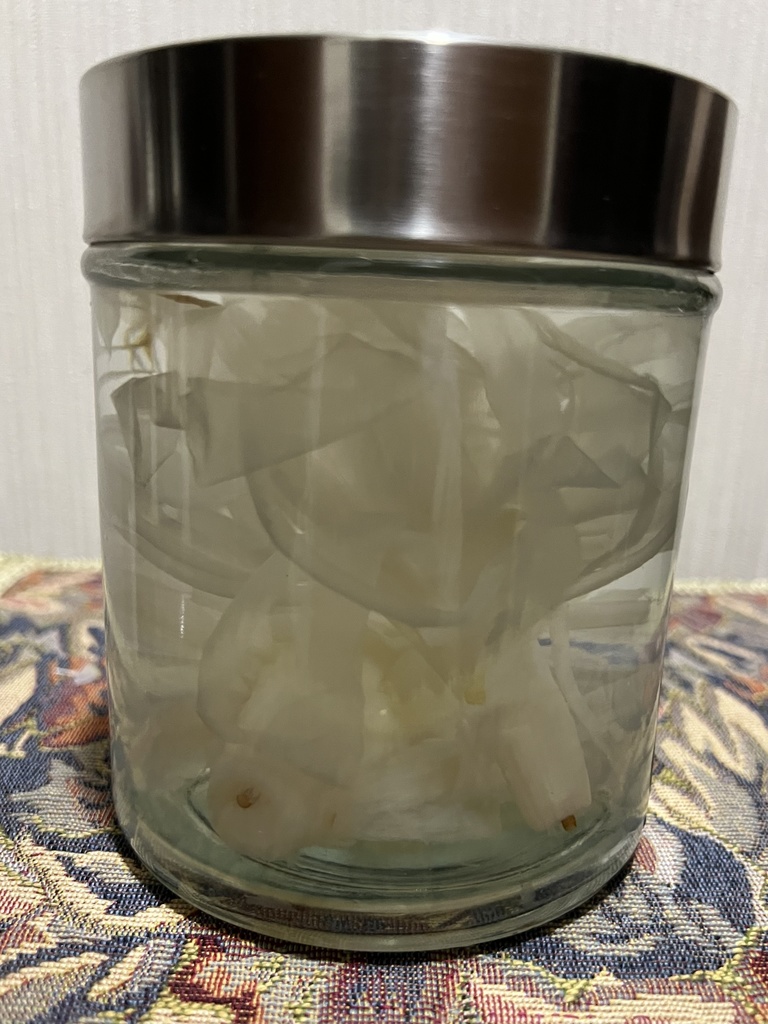 No.28 :双子の月下美人標本