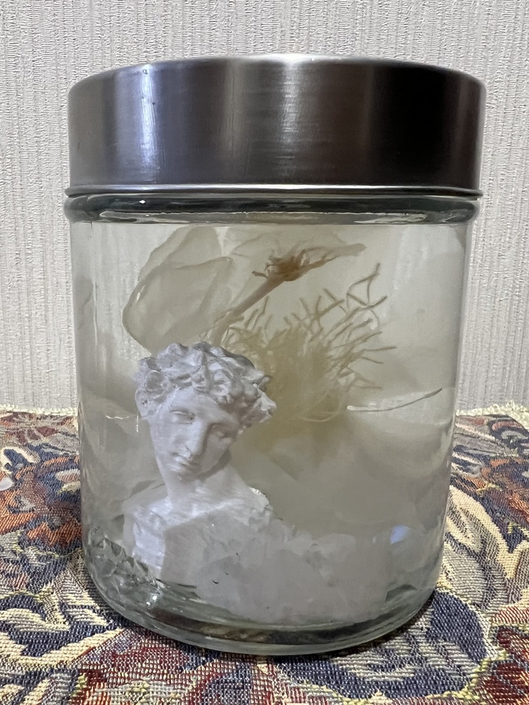 No.29 : 月下美人標本