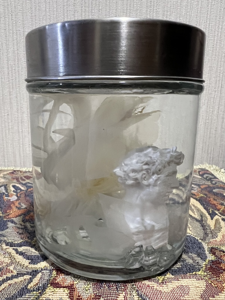 No.29 : 月下美人標本