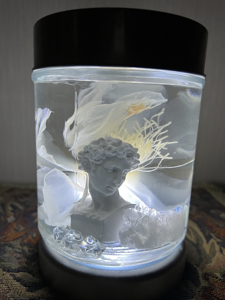 No.29 : 月下美人標本