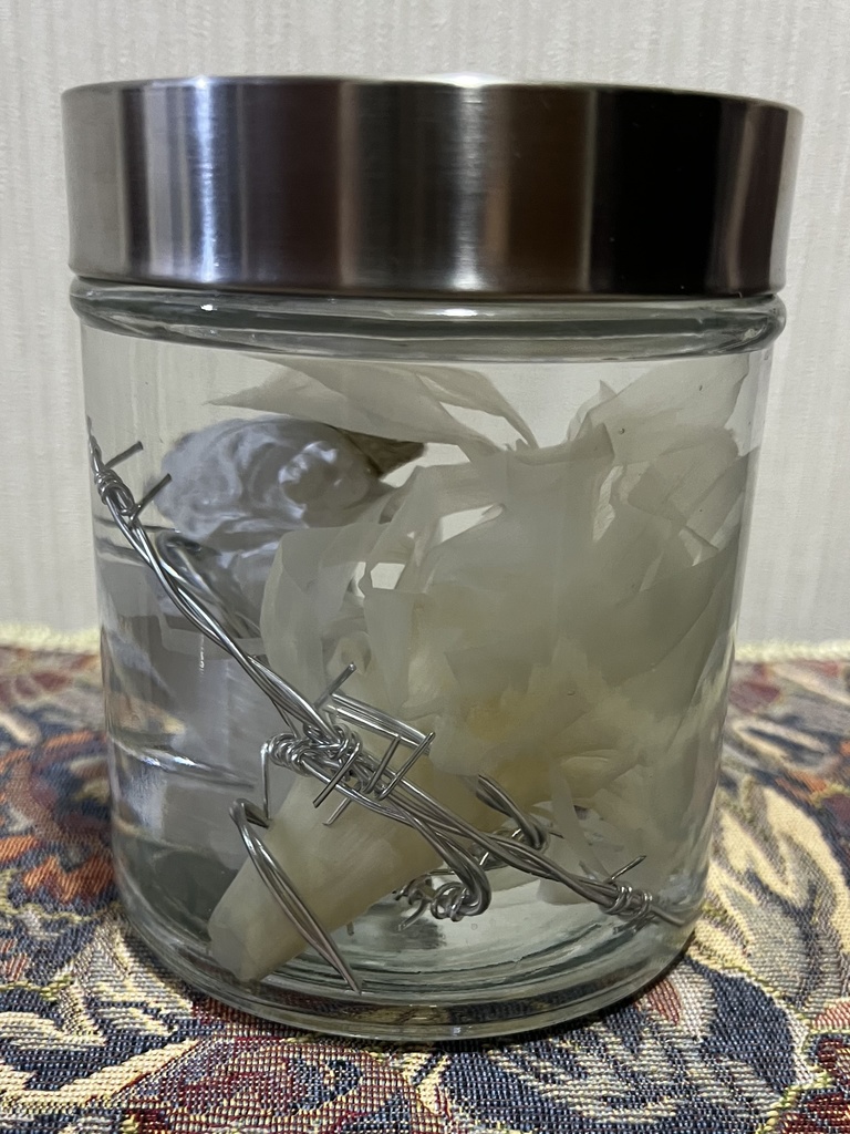 No.30:月下美人標本