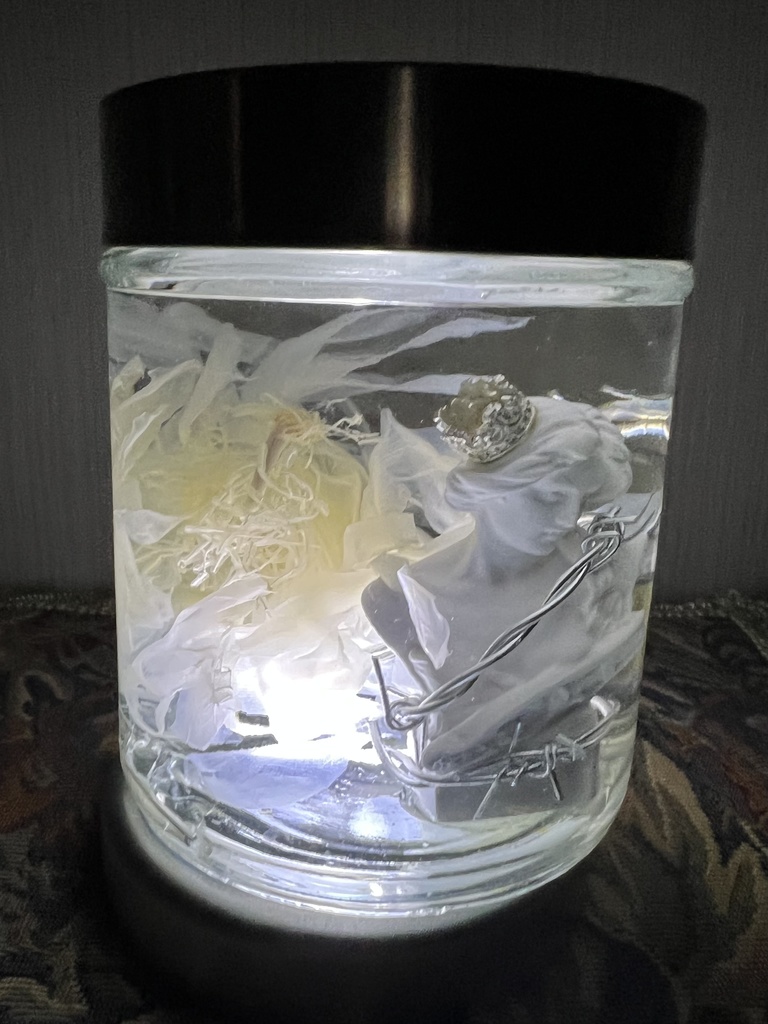 No.30:月下美人標本