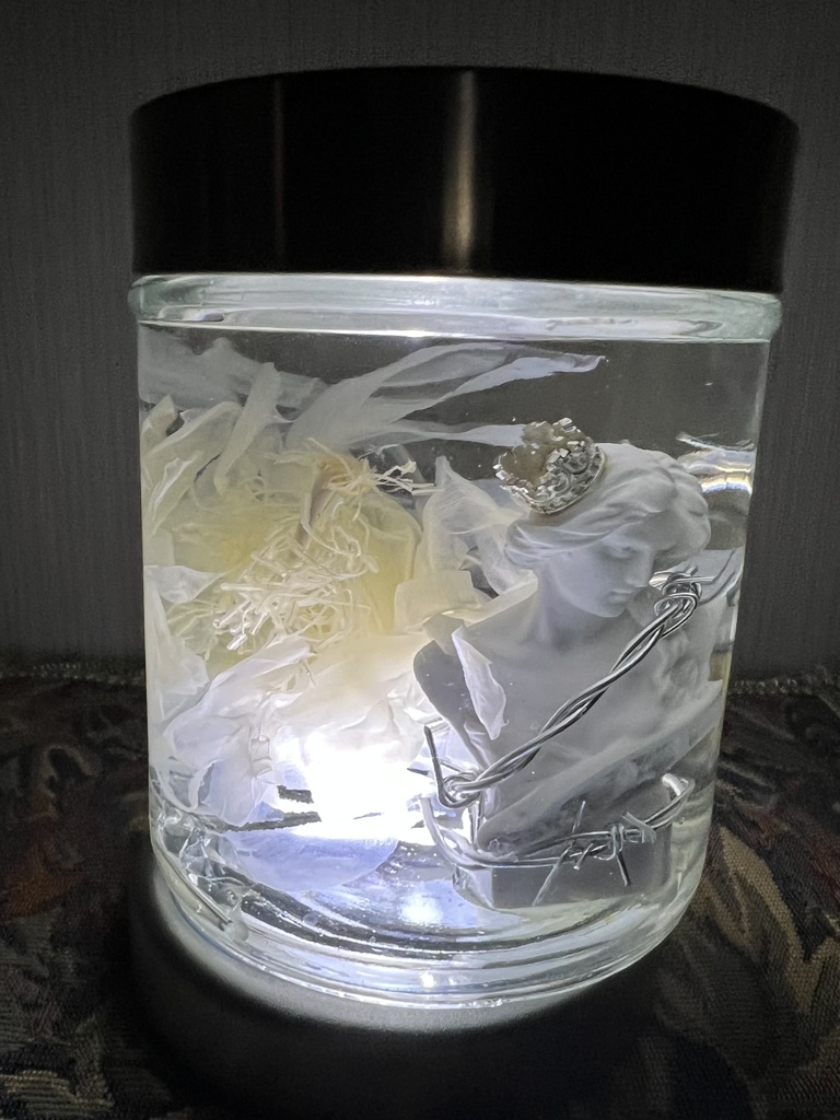 No.30:月下美人標本