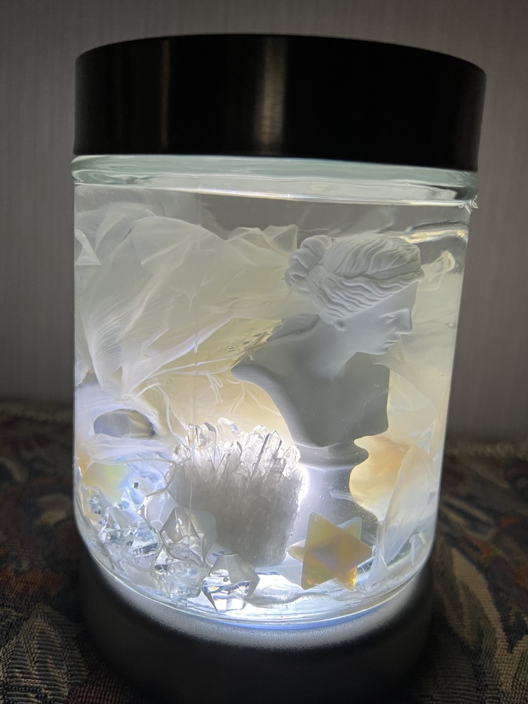 【B級品】月下美人標本