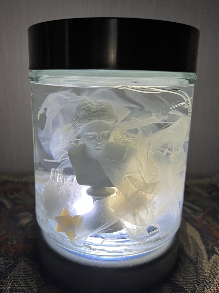No.33:月下美人標本