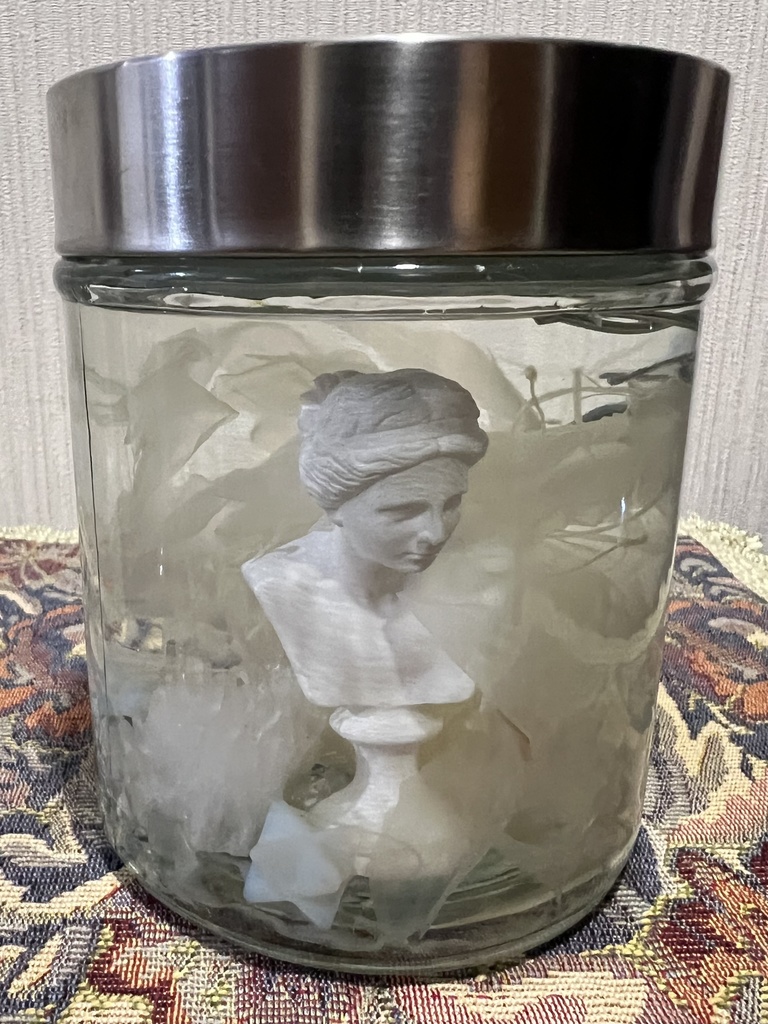 【B級品】月下美人標本