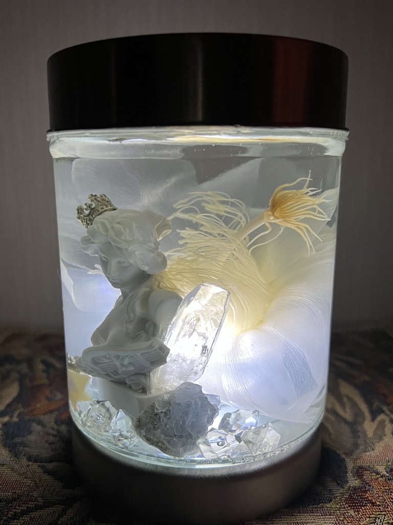 No.34: 月下美人標本