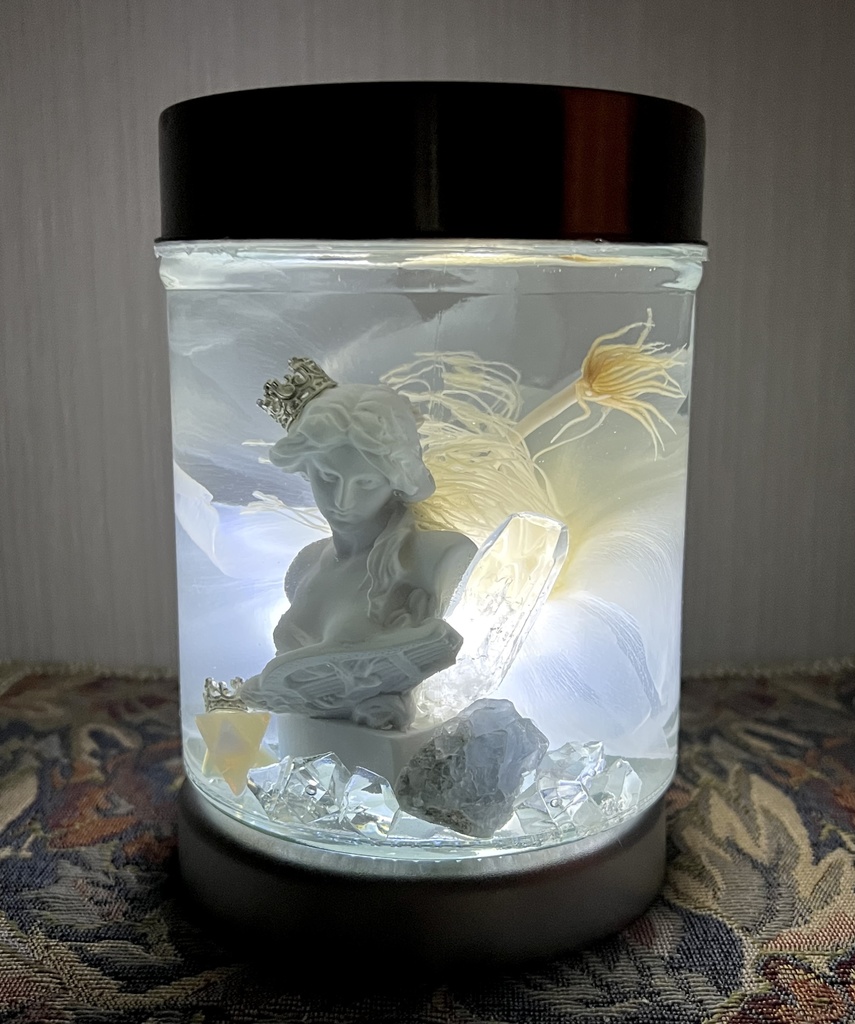 No.34: 月下美人標本