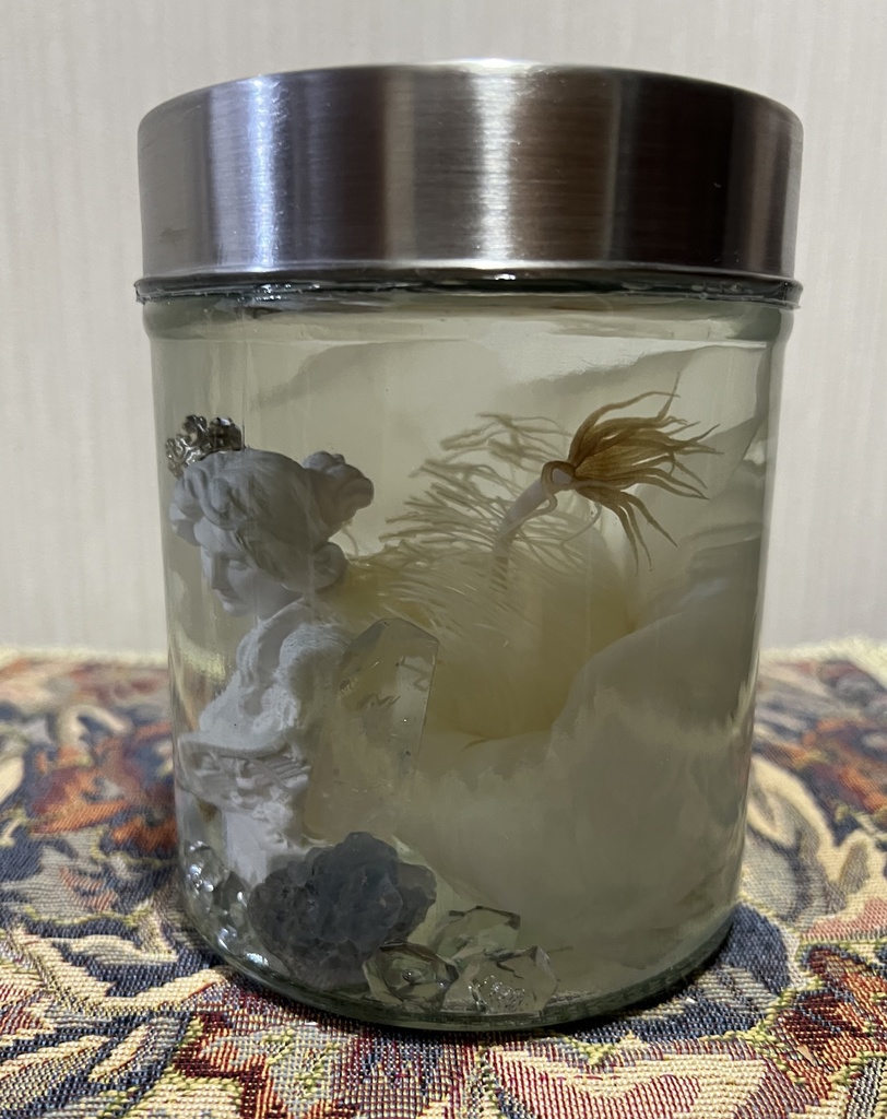 No.34: 月下美人標本