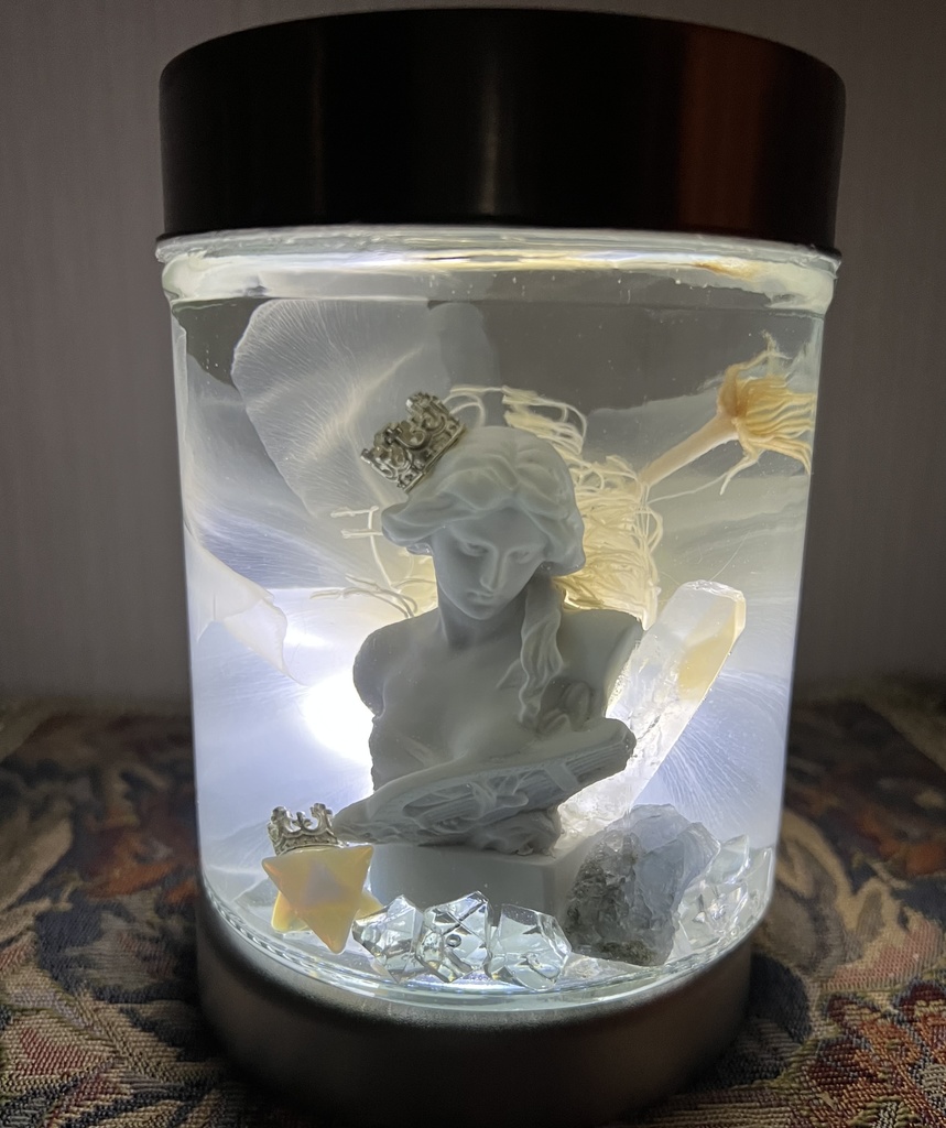 No.34: 月下美人標本