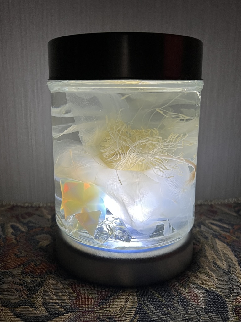 No.32: 星屑の月下美人標本