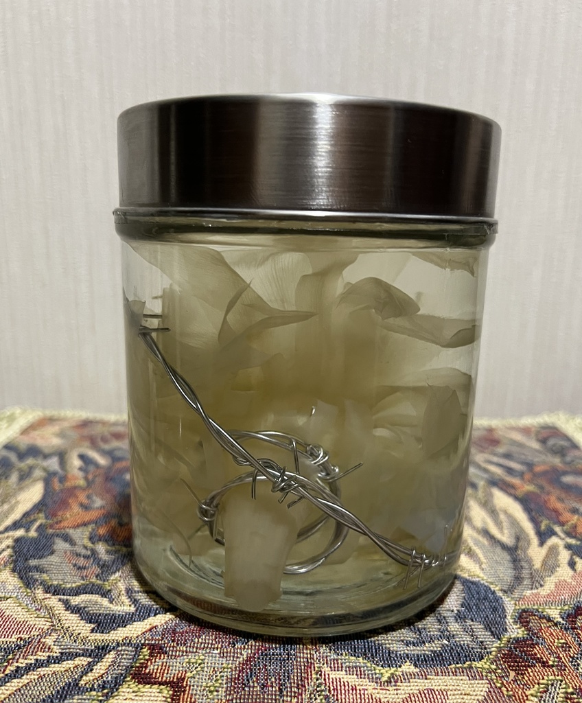 No.32: 星屑の月下美人標本